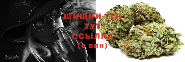 a pvp Няндома