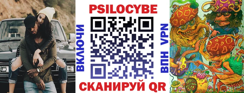 Галлюциногенные грибы Psilocybe  Купино 